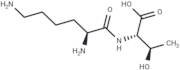 Lysyl threonine