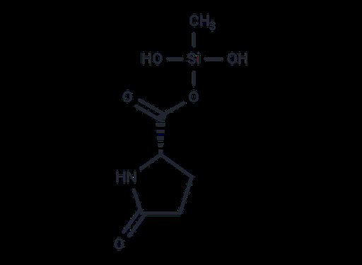Methylsilanol PCA