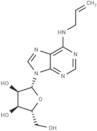 N6-Allyladenosine