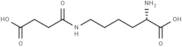 N6-Succinyllysine