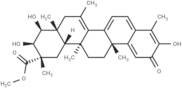 Netzahualcoyondiol