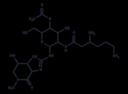 N-Methylstreptothricin F