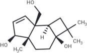 Punctaporonin D