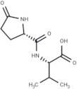 Pyroglutamylvaline