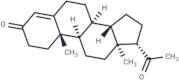 Retroprogesterone