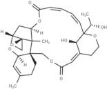 Satratoxin H