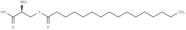 S-Palmitoyl cysteine