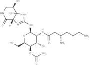 Streptothricin F