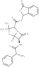 Talampicillin