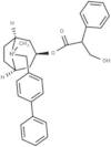 Xenytropium