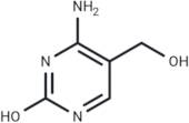 HM-cytosine