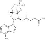 2'-O-Succinyl-cAMP