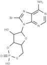 8-bromo-Cyclic AMP