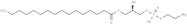 1-Palmitoyl-2-hydroxy-sn-glycero-3-PE