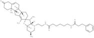 KAAD-Cyclopamine