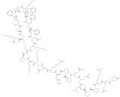 Cortistatin-29 (rat) (trifluoroacetate salt)