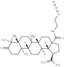 N-(2-Azidoethyl)betulonamide