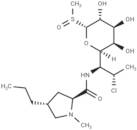 Clindamycin Sulfoxide