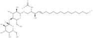 Lactosylceramides (bovine buttermilk)