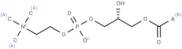 Lysophosphatidylcholines