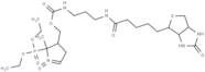 DEPMPO-biotin