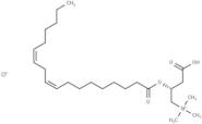 Linoleoyl-L-carnitine (chloride)