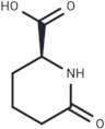 L-Pyrohomoglutamic Acid