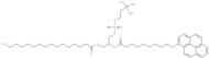 10-Pyrene-PC