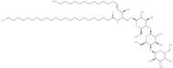 Globotriaosylceramides (porcine)