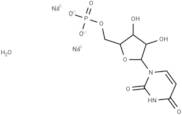 Uridine-5’-monophosphate (sodium salt hydrate)