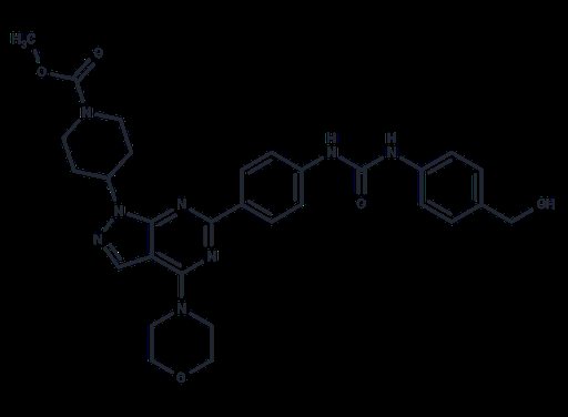 mTOR inhibitor WYE-28