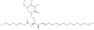 C8 Galactosylceramide (d18:1/8:0)