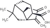 Terrecyclic Acid