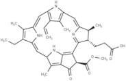 Pheophorbide a