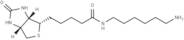 Biotinyl hexylamine