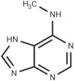 N6-Methyladenine