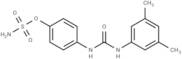 CAIX Inhibitor S4