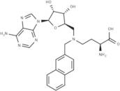 Bisubstrate Inhibitor 78