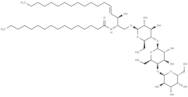 C16 Globotriaosylceramide (d18:1/16:0)