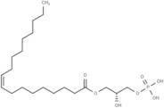 1-Oleoyl Lysophosphatidic Acid