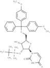 5'-O-DMT-2'-TBDMS-Uridine