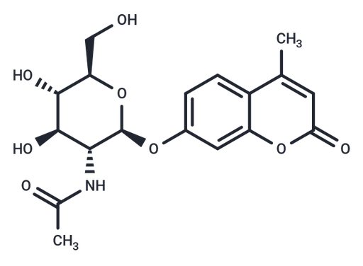 4-Methylumbelliferyl-2-acetamido-2-deoxy-β-D-Glucopyranoside