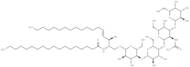 Ganglioside GM1 Asialo Mixture