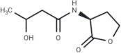 N-3-hydroxybutyryl-L-Homoserine lactone