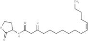 3-Oxo-C16:1