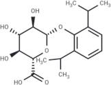 Propofol β-D-Glucuronide