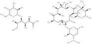 Erythromycin lactobionate