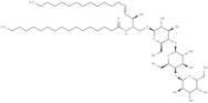 C17 Globotriaosylceramide (d18:1/17:0)