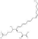 11-trans Leukotriene E4