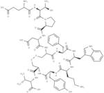 [Orn8]-Urotensin II